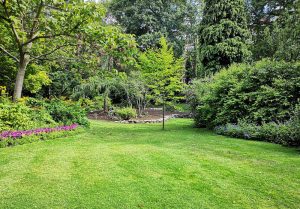 Optimiser l'expérience du jardin à Pusy-et-Epenoux